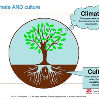 Fine Tune Your School Culture!