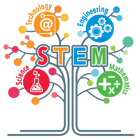 Allison Sweeney STEM Portfolio