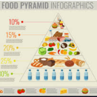 Diets & the healthy eating pyramid