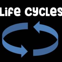 Life Cycles