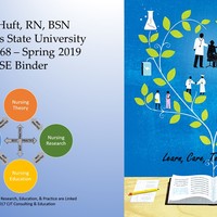 SSE Binder - NURS 868