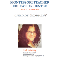 Gul Ustundag Child development Binder