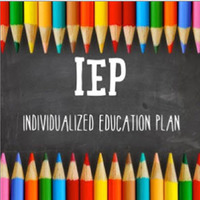 Copy of Successful IEPs