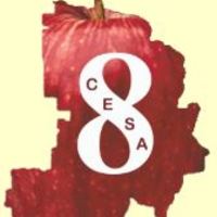 Copy of CESA 8 Region Family Resources