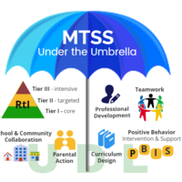MTSS Implementation Stage 3: Initial Implementation