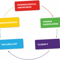 Big 5 When Teaching Reading