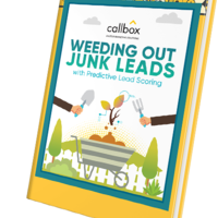 Weeding Out Junk Leads With Predictive Lead Scoring (e-Book)