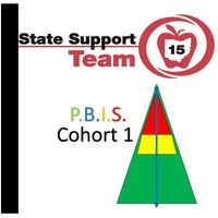 SST 15 P.B.I.S. Cohort 1