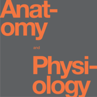 Anatomy and Physiology