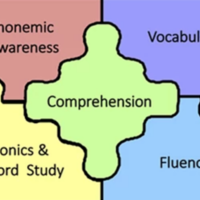 Components of Literacy