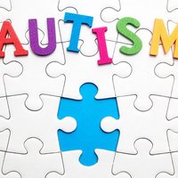 Evidence Based Strategies for Students with Autism