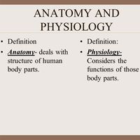 Anatomy & Physiology Semester 1