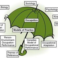 Occupational Therapy Models & Theories