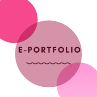 Overall e-portfolio