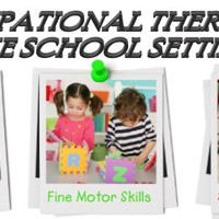 School Systems Occupational Therapy Portfolio