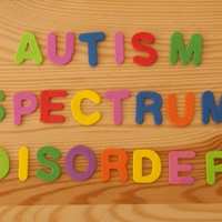 EDUC 4487- Autism Advisor