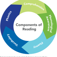 Reading Intervention Menu - Secondary