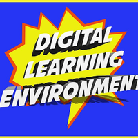 Standard 3: Digital Age Learning Environment