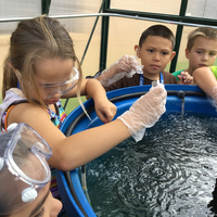 Hydroponics, Aquaponics & Kids