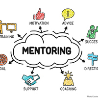 Mentoring and Supervising Assignment EDSE 733