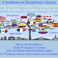 A Synthesis and Analysis of Disciplinary Literacy