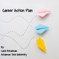 Career Action Plan