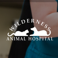 Lake Wilderness Animal Hospital