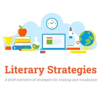 617 Literary Strategy Notebook