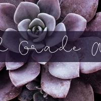5th Art Grade Lesson Plans