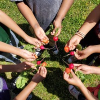 Growing School Gardens - Curricula and Resource Binder