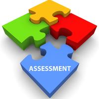 TCH 320 Cassidy Woodman Assessment Tool Kit
