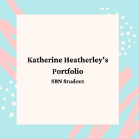 BSN Portfolio