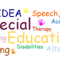 Special Education Live Binder