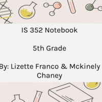 IS 352 Notebook