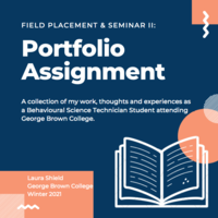 BST Field Placement & Seminar Portfolio