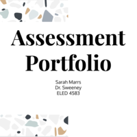 Assessment Portfolio