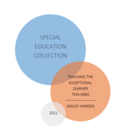 Special Education Collection