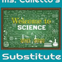Culletto's Substitute Lessons