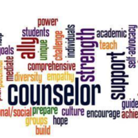 Comprehensive School Counseling Program