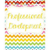 Professional Resource Binder