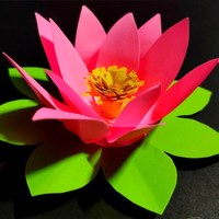 New Origmi Lotus Flower II How to Make Paper Lotus Flower II DIY
