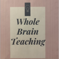 Whole Brain Teaching Resources
