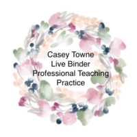 Professional Teaching Practice - Critical Task - Live Binder