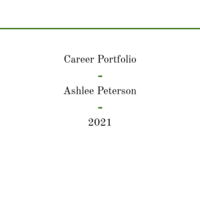 Career Porfolio
