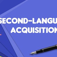 Second Language Acquisition