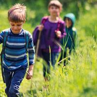 Forest Pine Preschool