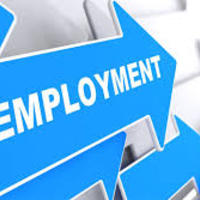 Employment Apps in Transition