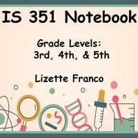 IS 351 Notebook