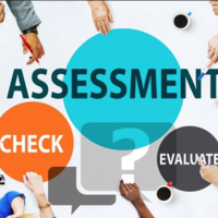 Assessment Program