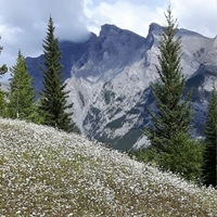 Hiking in Alberta